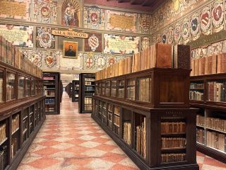 Университет в Болонье и как туда попасть бесплатно! 