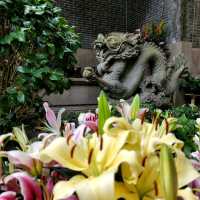 🏯🙏 Pak Tai Temple: A Hidden Gem in Wan Chai 🙏🏯