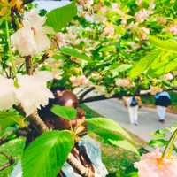 Spring is in the air.