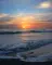 pharis_2537