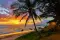 syrithia_4962