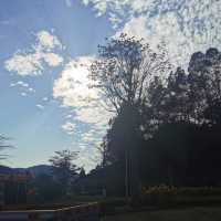 打卡廣州石門森林公園