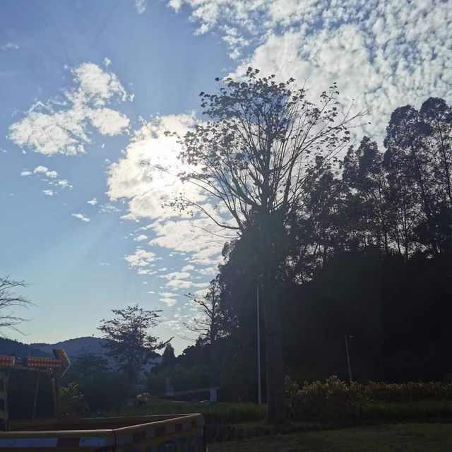 打卡廣州石門森林公園