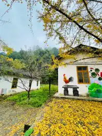 雨中的帽子峰景區