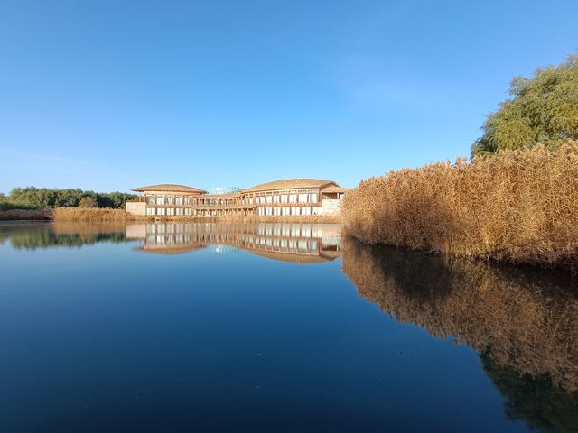 遇見多彩的秋天，張掖國家濕地公園