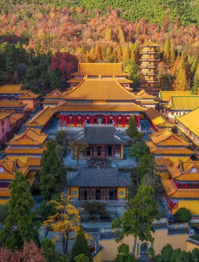 杭州小眾絕美寺廟，簡直小故宮秋色美啊！