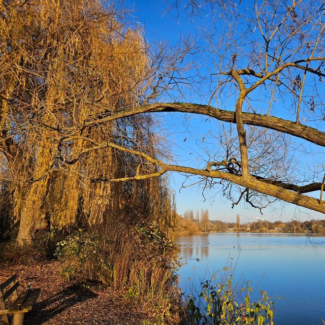 探秘馬克斯-埃斯湖：德國的瑰寶與自然的和諧