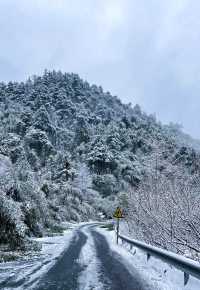 浙江湖州｜龍王山初雪旅遊避坑指南攻略！！！