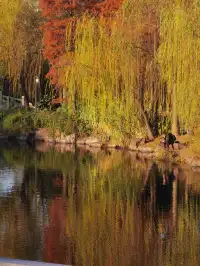 這難道就是