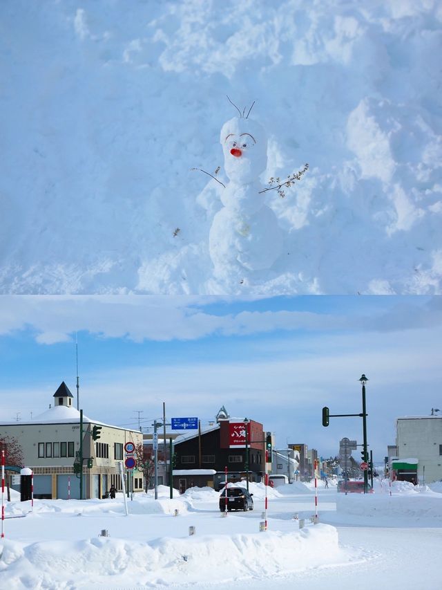 人生建議：冬天一定要去趟北海道❄️