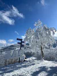 秘境藏王山：探尋複雜路線中的絕美之旅！