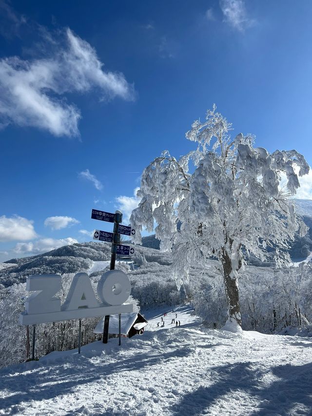 秘境藏王山：探尋複雜路線中的絕美之旅！