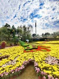 義烏植物園，菊韻醉金秋