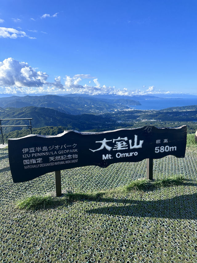 大室山真的像抹茶山