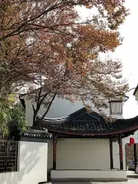 嘉定州橋老街 |最與眾不同的老街風光