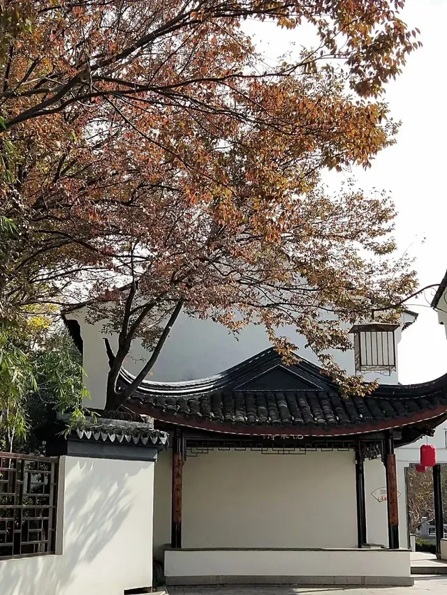 嘉定州橋老街 |最與眾不同的老街風光