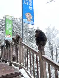 瓦屋山踩雪日記（附攻略