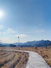 徒步芜湖南陵縣·小格裡森林公園×霭裡村