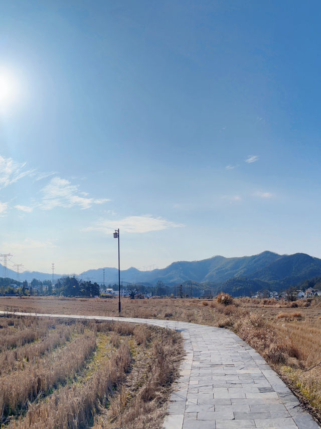 徒步芜湖南陵縣·小格裡森林公園×霭裡村