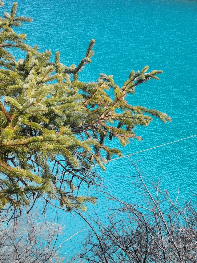 春節最具性價比的旅行目的地—西藏