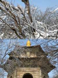 花果山很好下次還要來 剛下過雪後的花果山美的夢幻