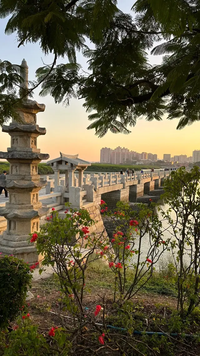 Quanzhou｜Luoyang Bridge｜Take a walk