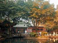 不是拙政園去不起 而是溫江公園更有性價比