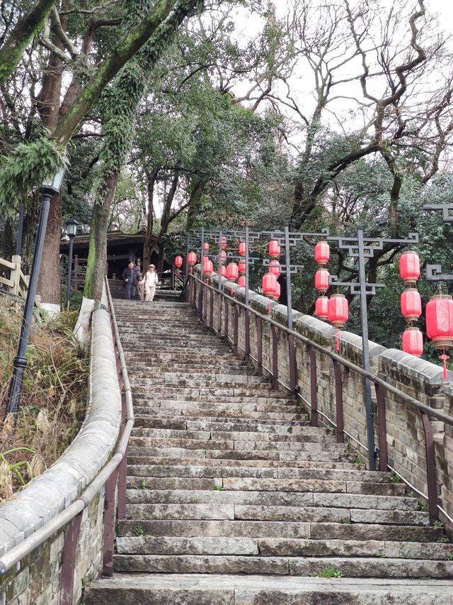 温州市區最高峰是它！