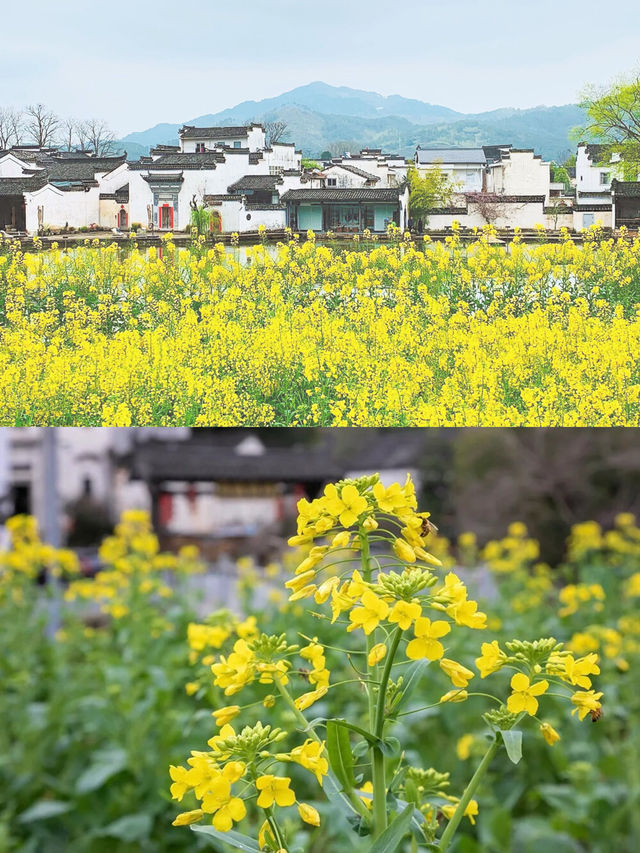 被遺忘的古村落—徽州石亭村