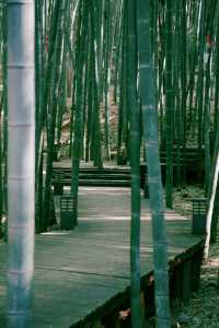 蘇州旺山，徒步、踏春、放鬆的好去處