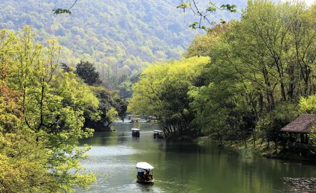 Hangzhou Spring Outing and Flower Viewing Recommendations: The vibrant spring scenery at Yu Hu Bay