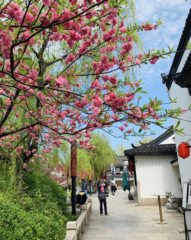 七寶古鎮小眾上海半小時地鐵直達水鄉