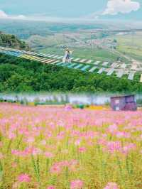 延邊玩樂好去處，0元門票的琵岩山