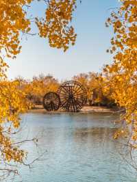 寶藏賞秋之旅紅色阿爾山拍照出片賞秋好去處