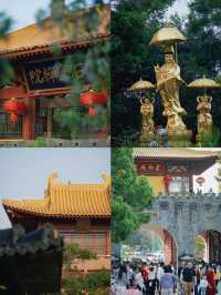 春和景明不僅是禪意遇見寧靜角落 廈門石室禪院