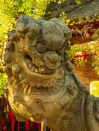 山西晉城 | 有著最美鸱吻的澤州冶底岱廟