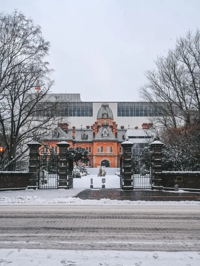 6 Must-Know Things When Visiting Sapporo, Hokkaido!
