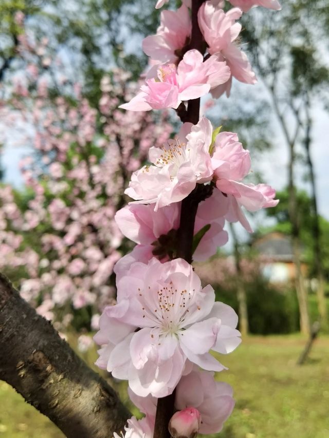 永州零陵東