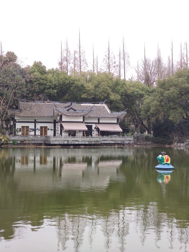 吃完早餐後，來金華婺州公園溜達一圈