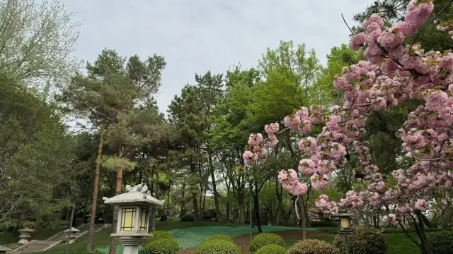 Da Ci'en Temple Ruins Park