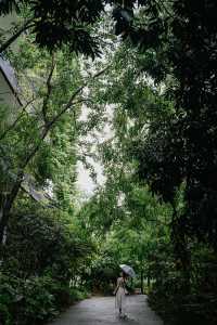 深圳拍照｜這家酒店裡藏了個小森林