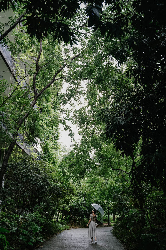 深圳拍照|這家酒店裡藏了個小森林 深圳拍照|這家酒店裡藏了個小森林