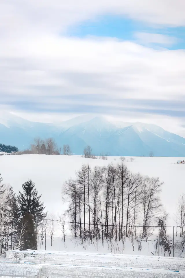 北海道｜冬のスキー/温泉の約束に参加しましょう