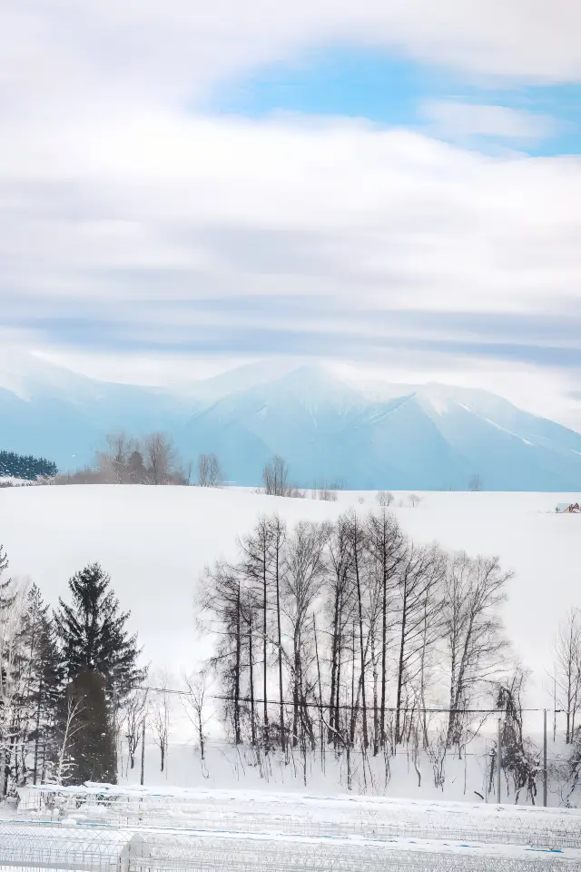 Hokkaido | A winter ski/hot spring invitation