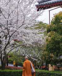 虔誠淨土，九江東林大佛攻略