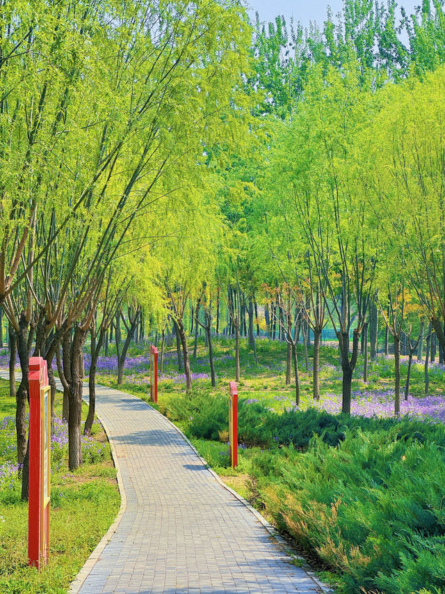 北京春日遊園記 12｜世界之花公園