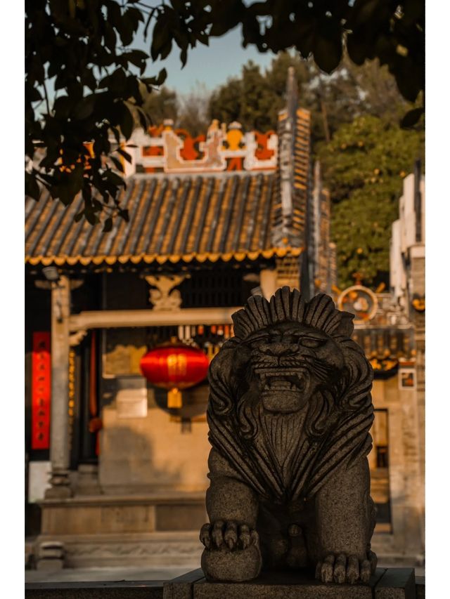 廣州春季露營·公園賞日落，感受人間皆是浪漫