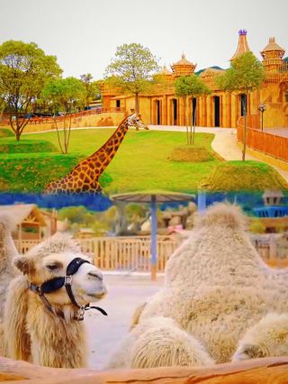 Where to go for May Day | Jiangxi Limited Edition for Parent-Child Outings or Dates Treasure Spot~
