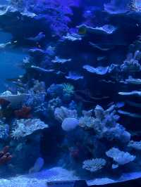 左海海底世界·長大後第一次來這兒玩～
