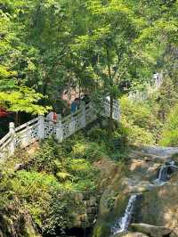 打卡南山另一條小眾步道 — 清水溪步道
